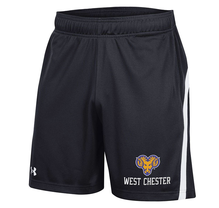 UNDER ARMOUR 20F UA MESH LINER CROP PAN… Under Armour Tech Mesh Shorts